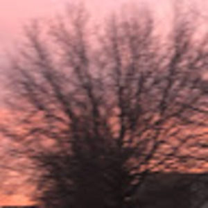 Meet your Posher, Joanna